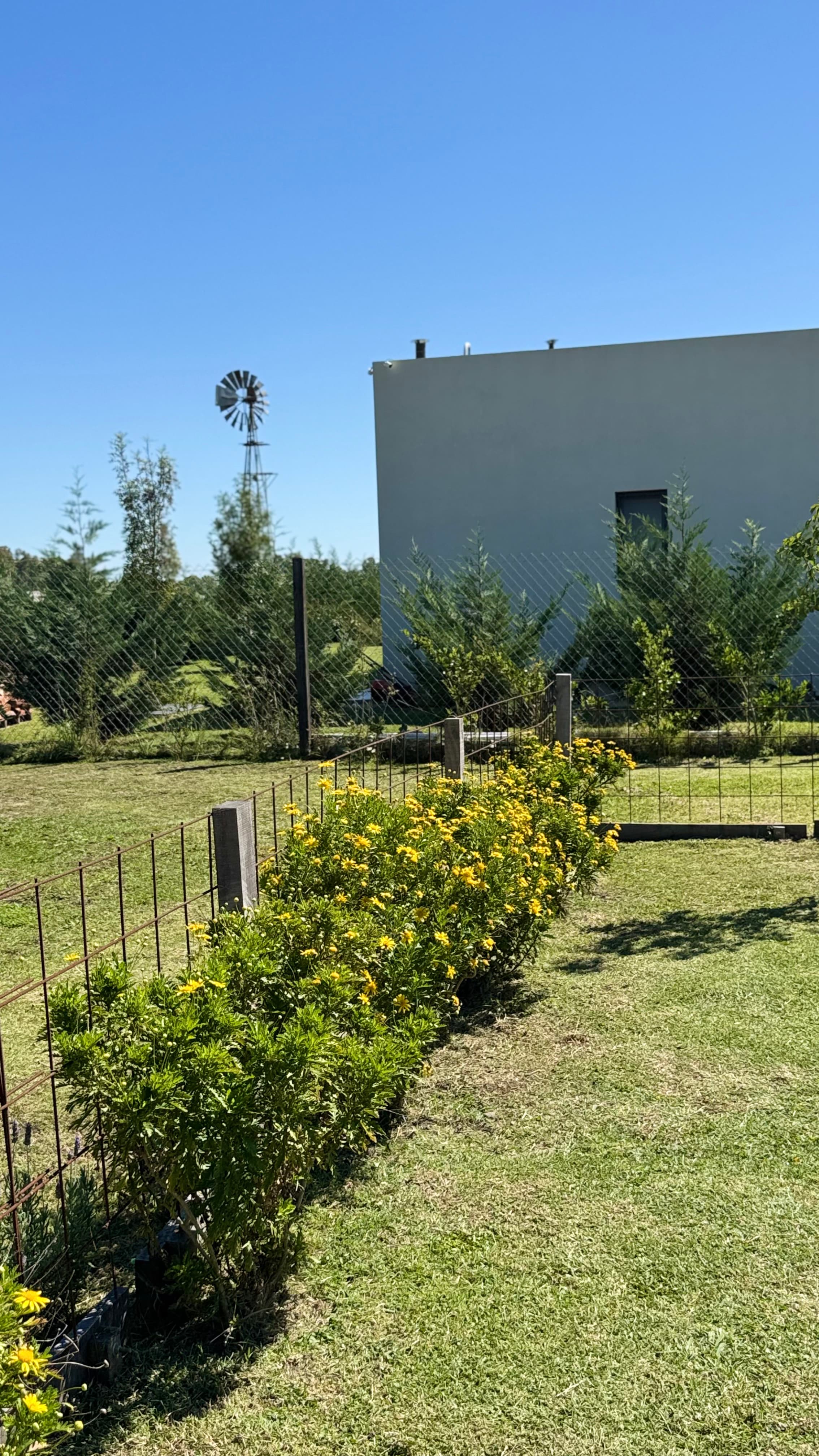 Jardín para Pato y Juan