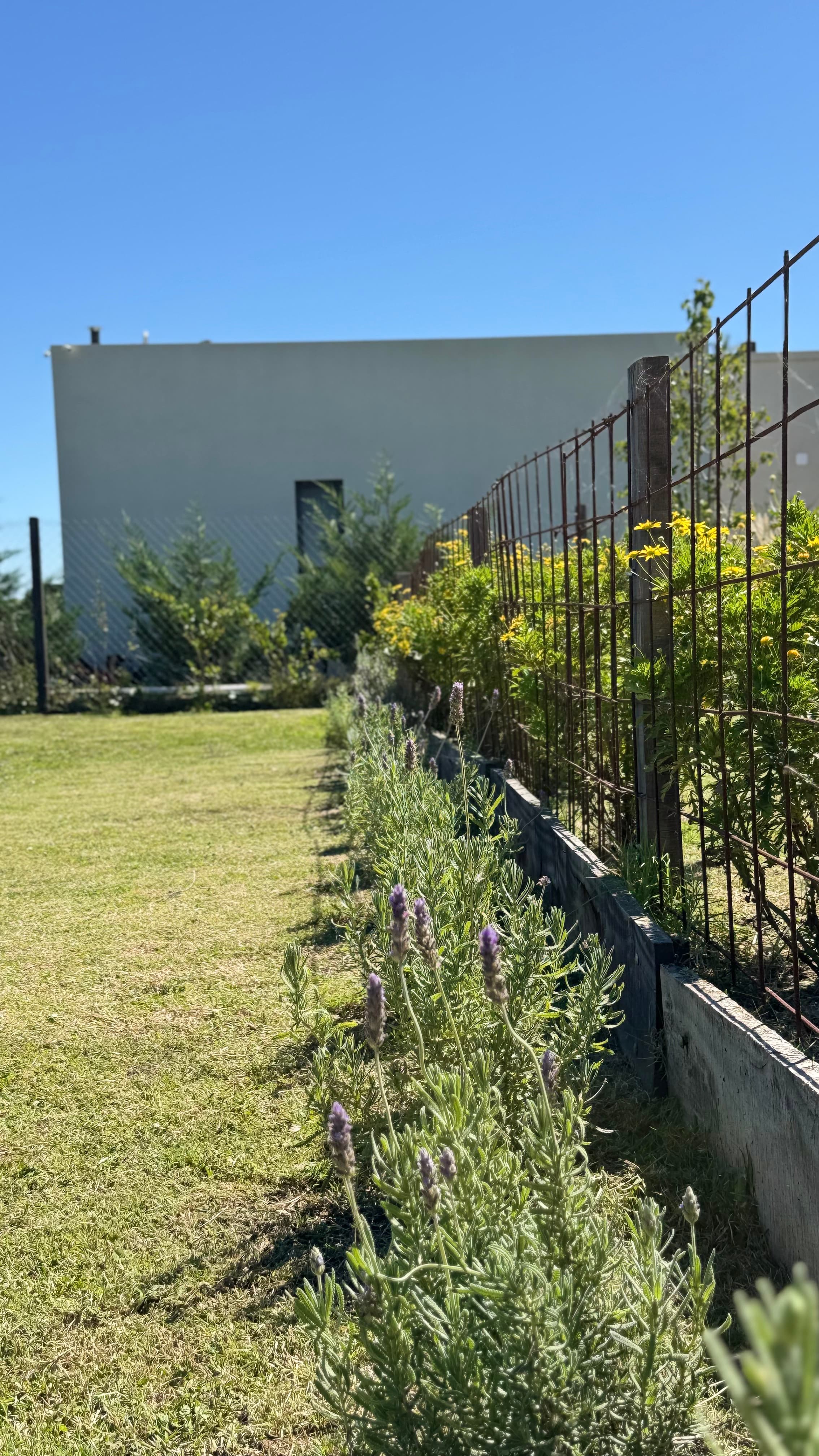 Jardín para Pato y Juan