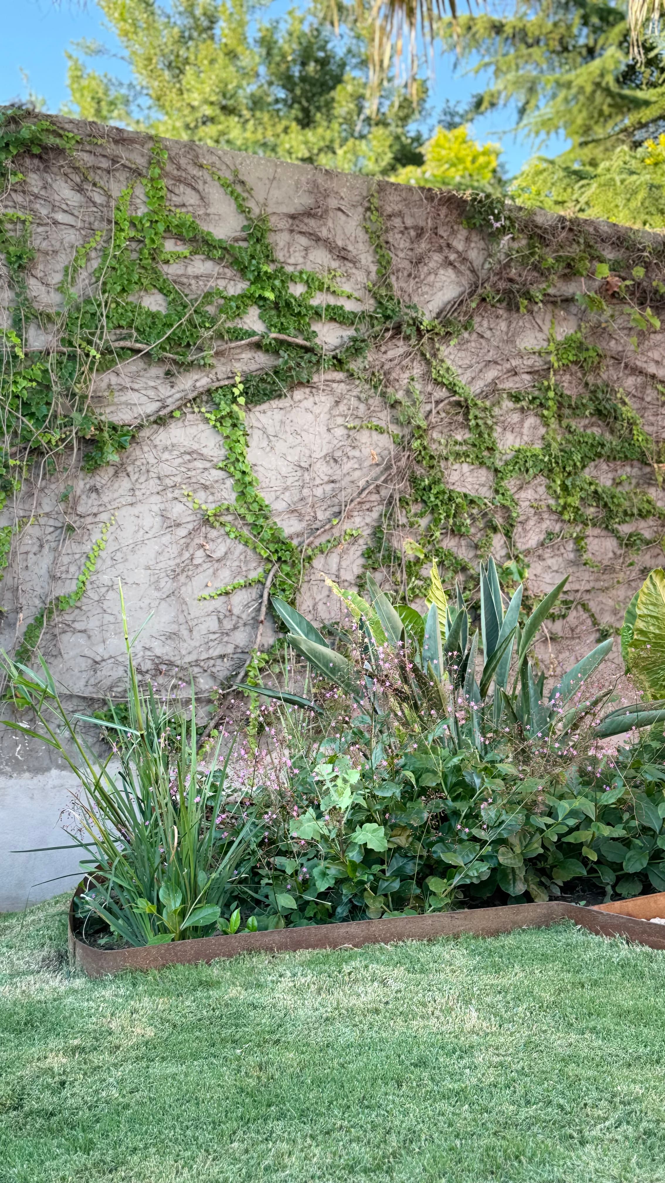 Jardín para Pauli y Alejo