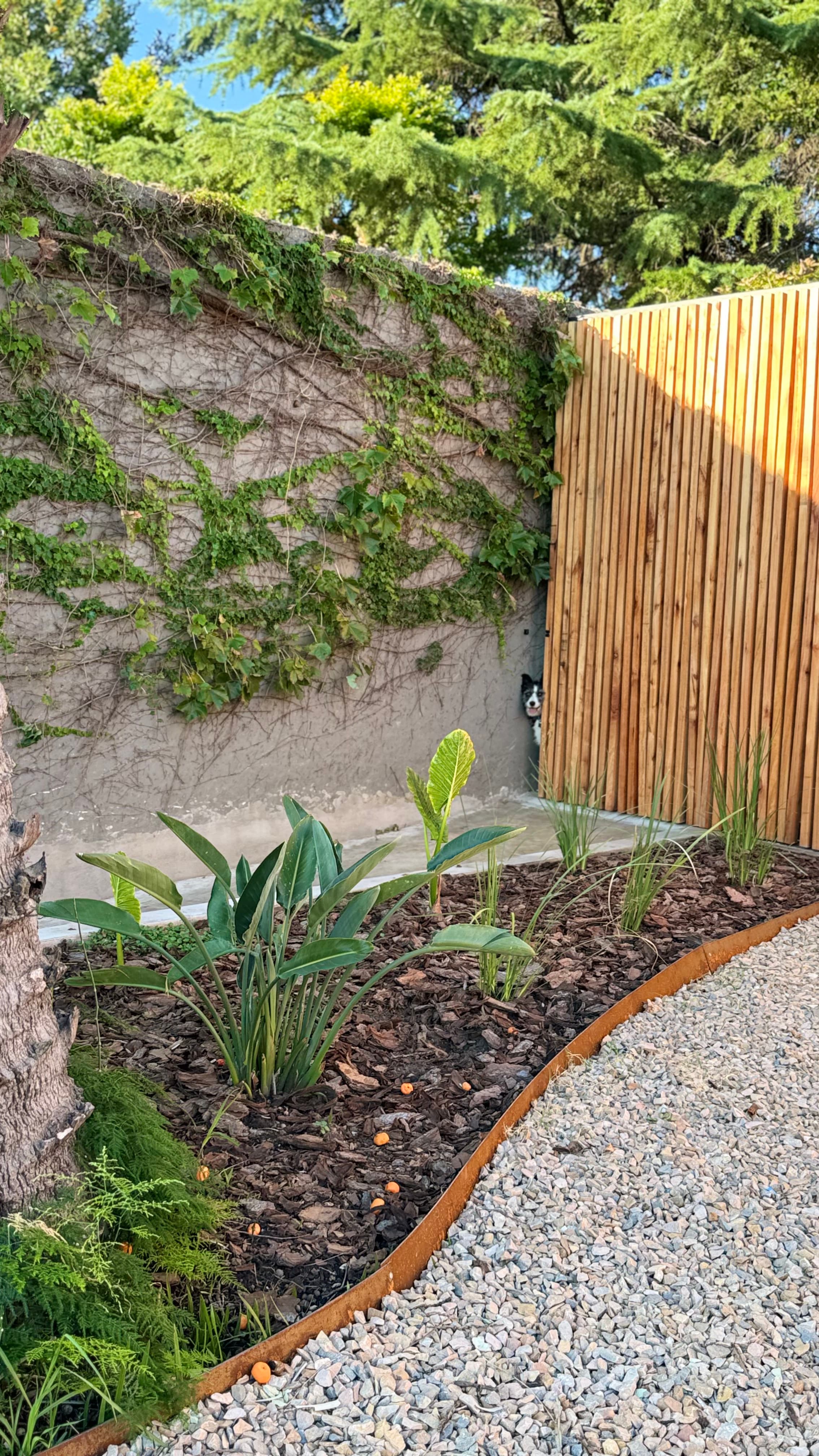 Jardín para Pauli y Alejo