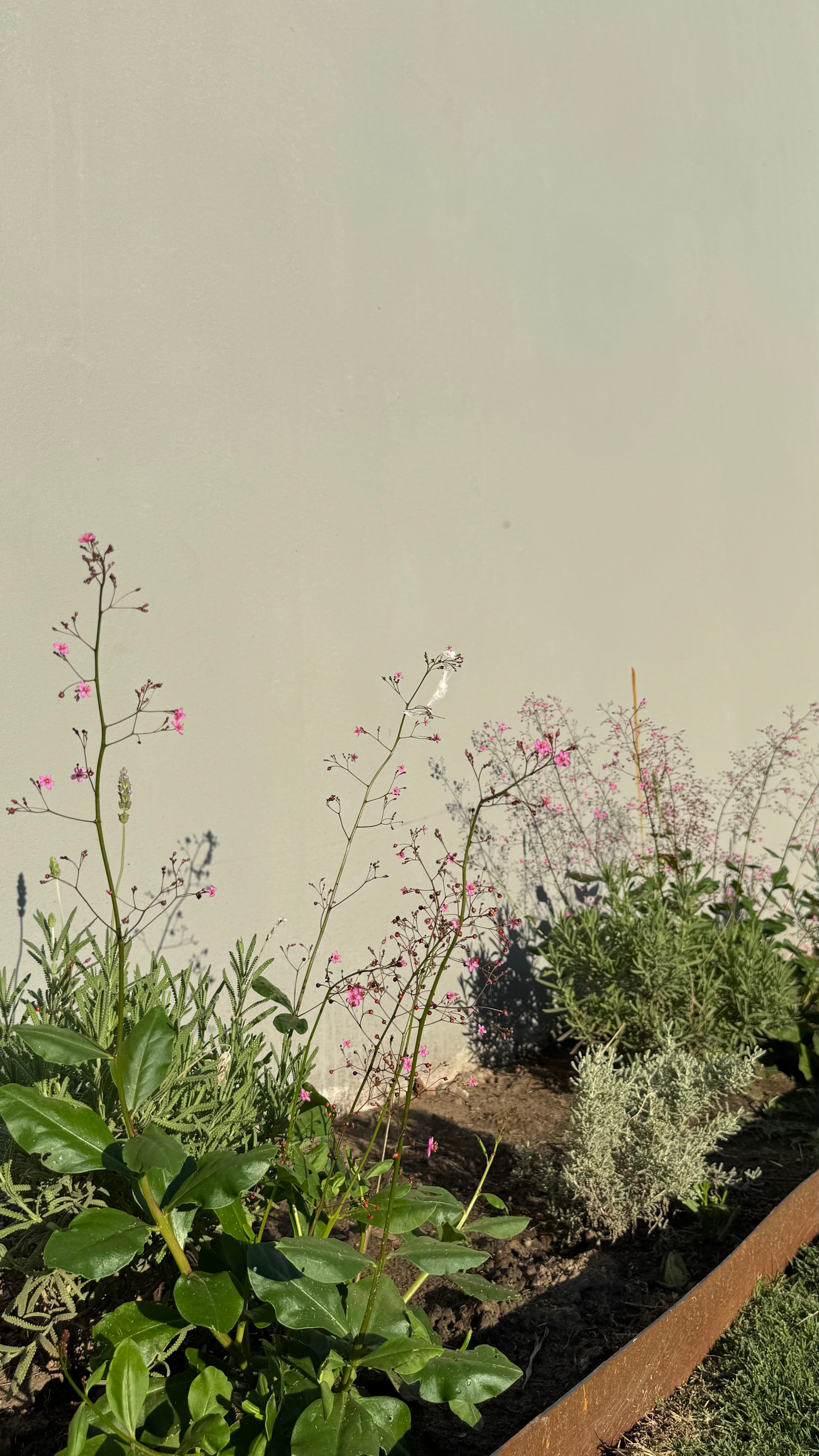 Jardín para Pauli y Alejo