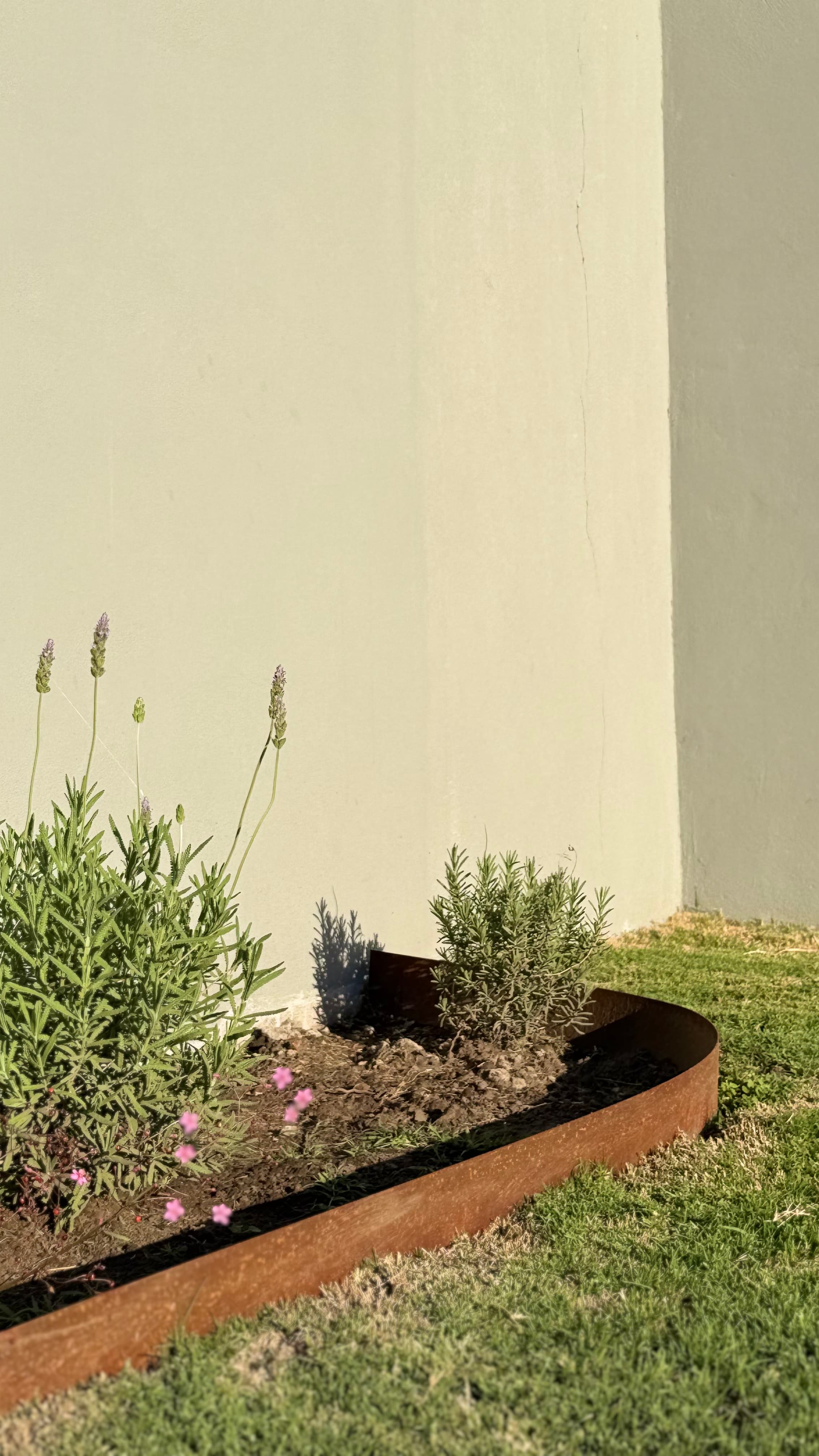 Jardín para Pauli y Alejo