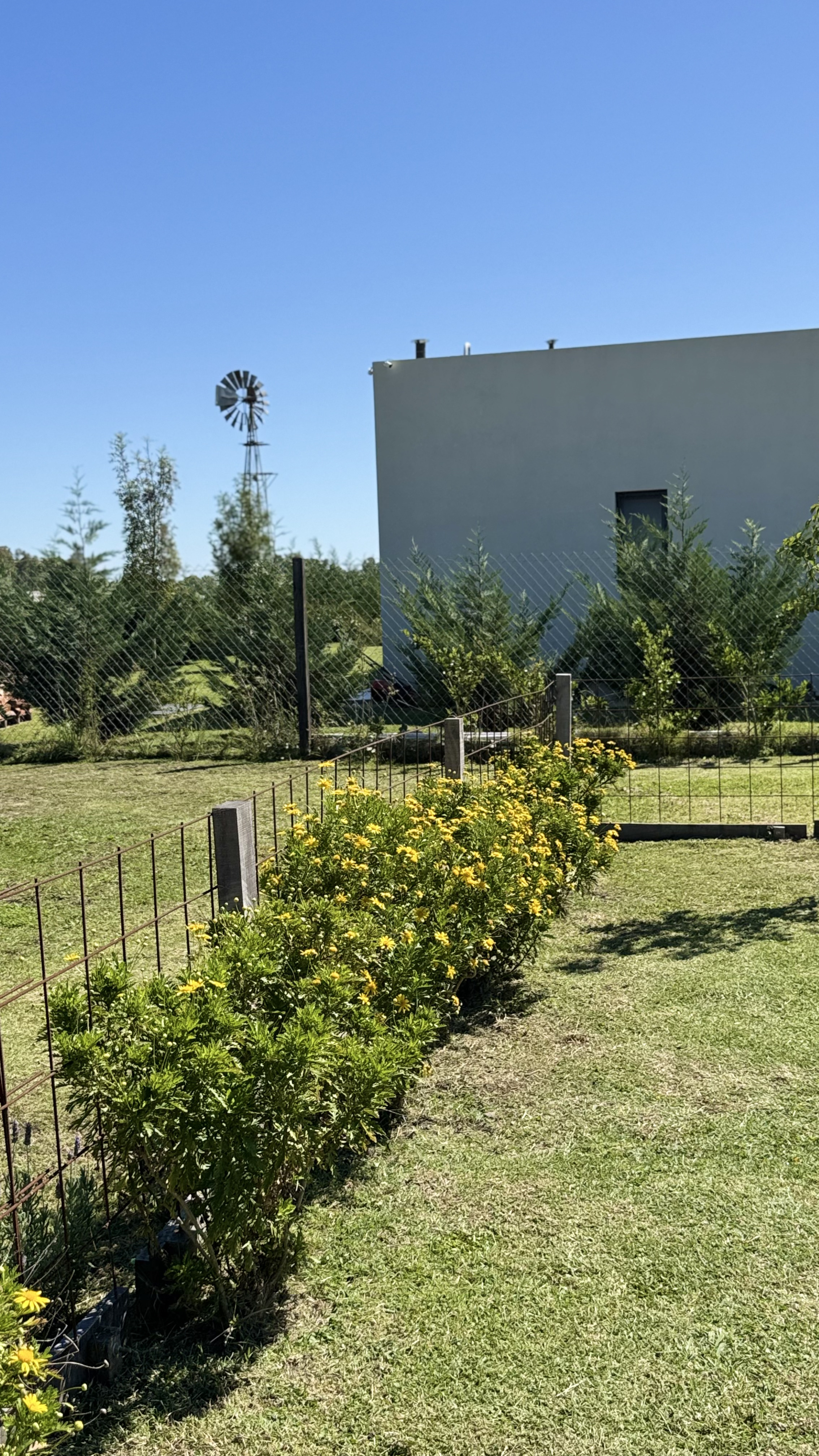 Jardín para Pato y Juan