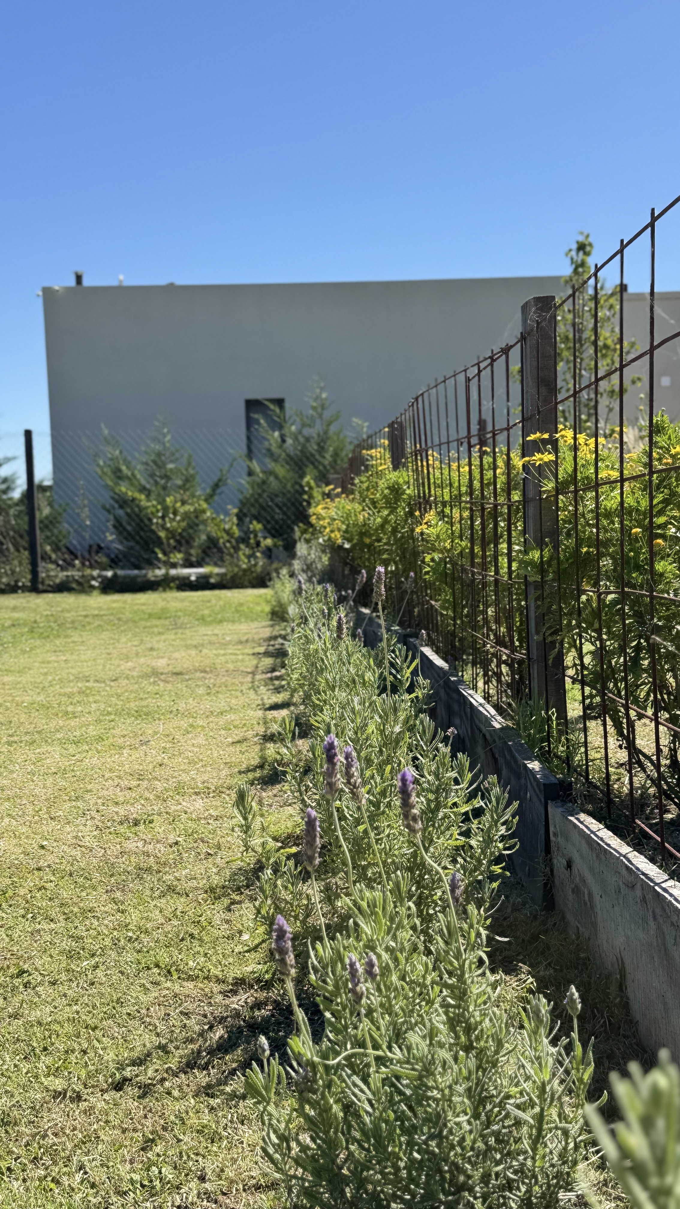 Jardín para Pato y Juan
