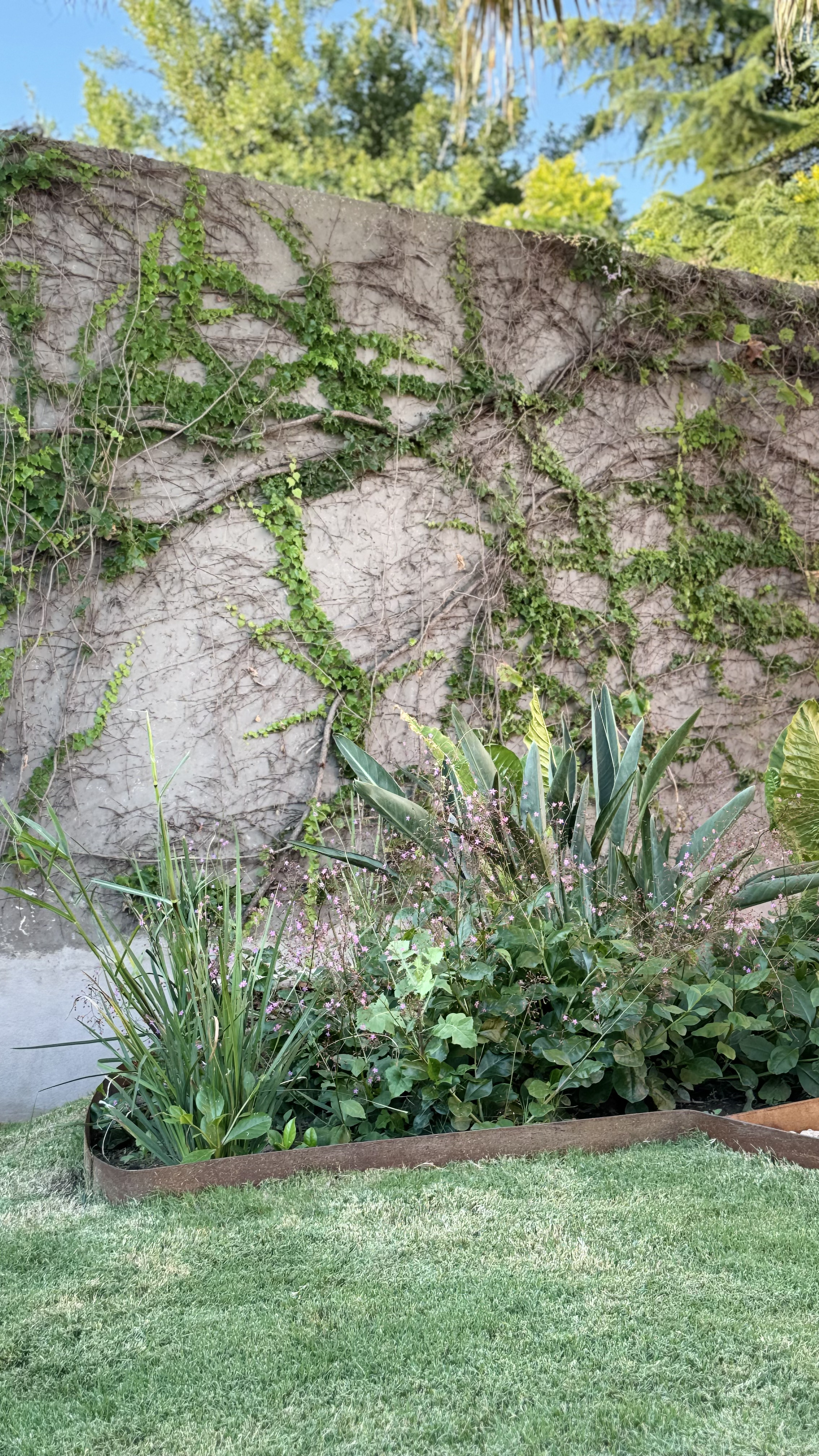 Jardín para Pauli y Alejo
