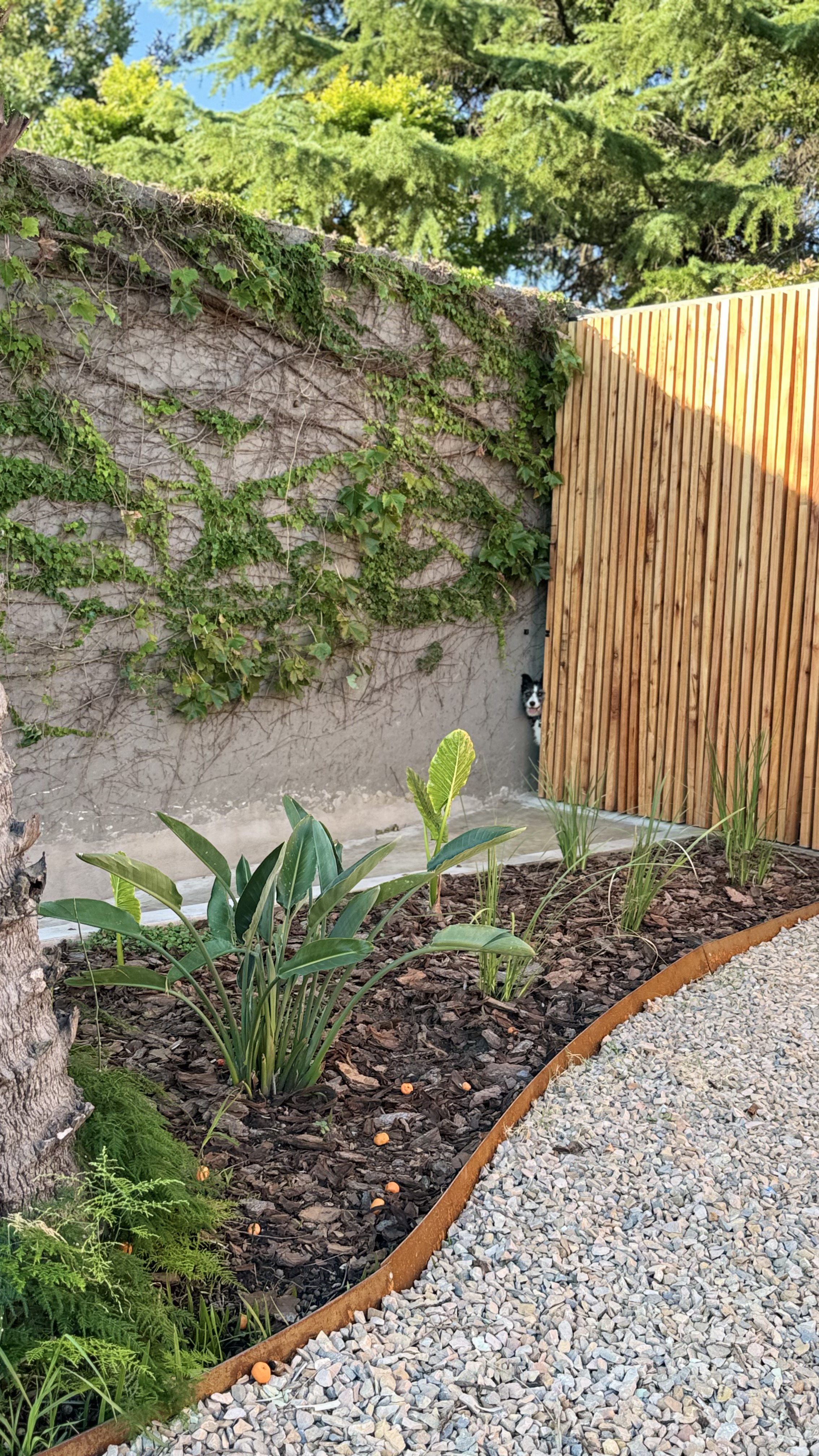 Jardín para Pauli y Alejo