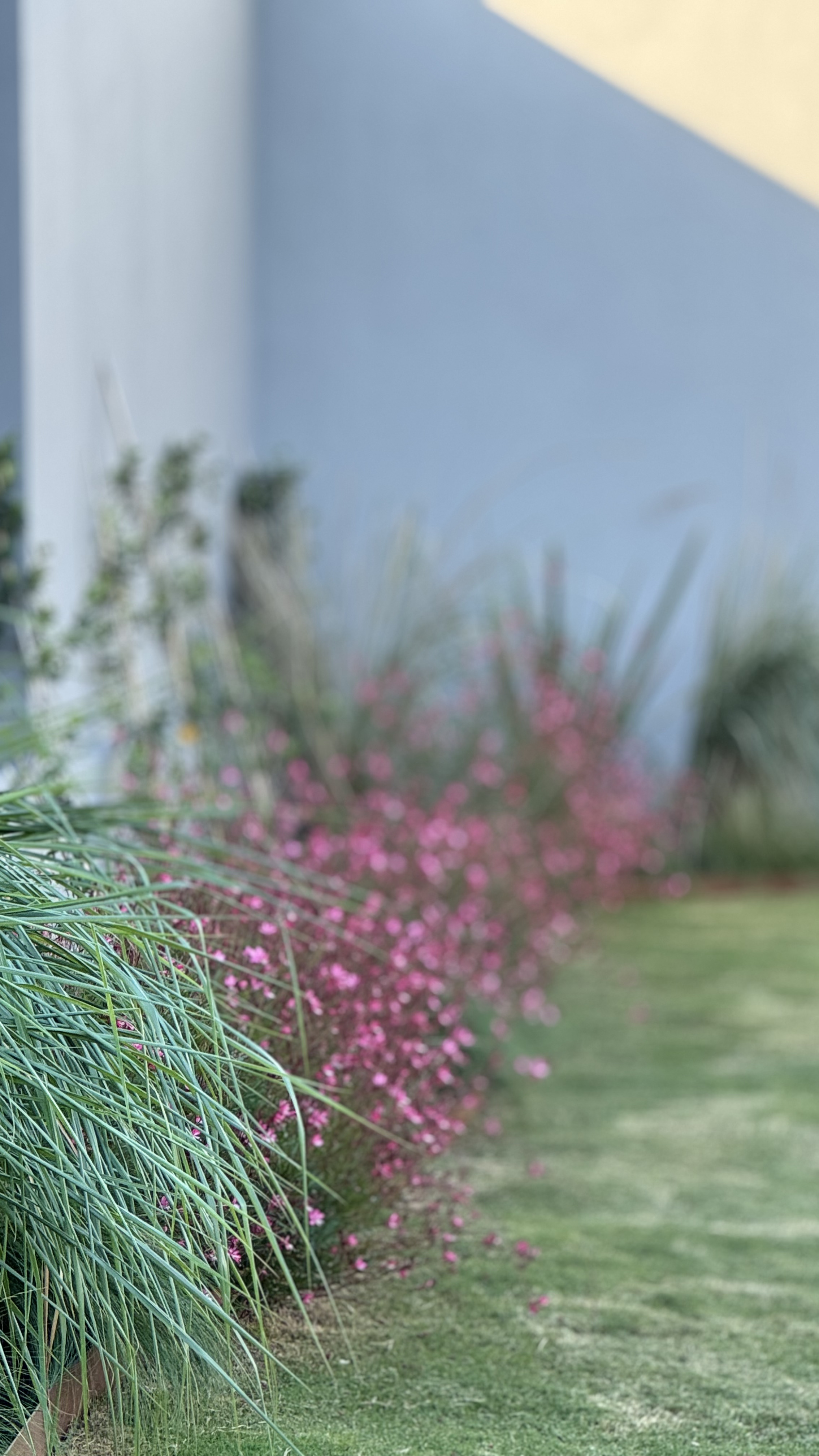 Jardín para Pauli y Alejo